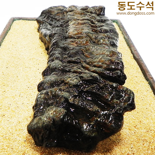 갯바위경