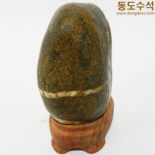 평창나무