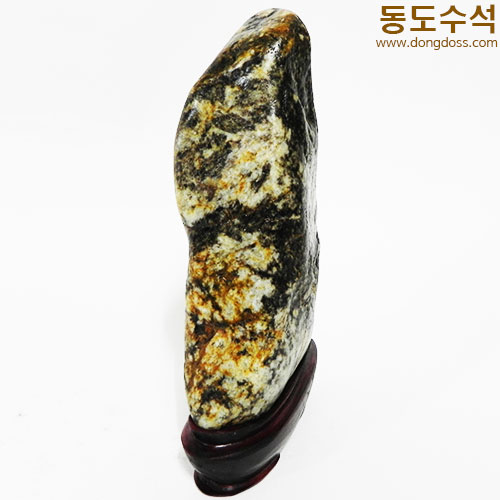 호피입석