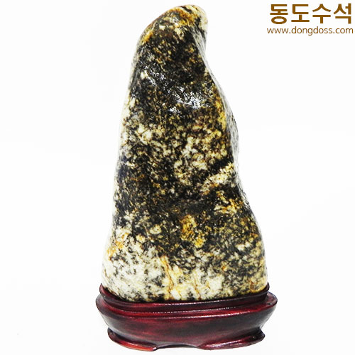 호피입석