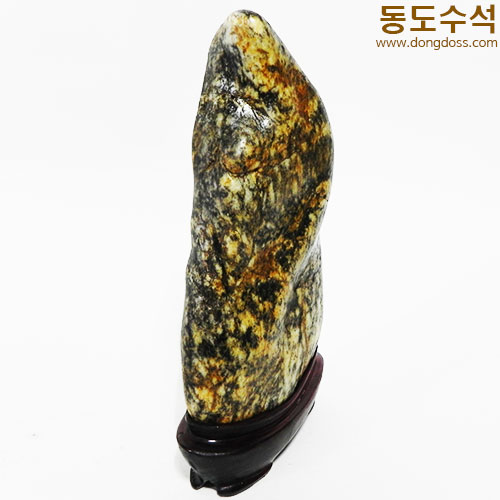 호피입석