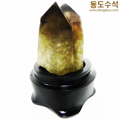 황수정