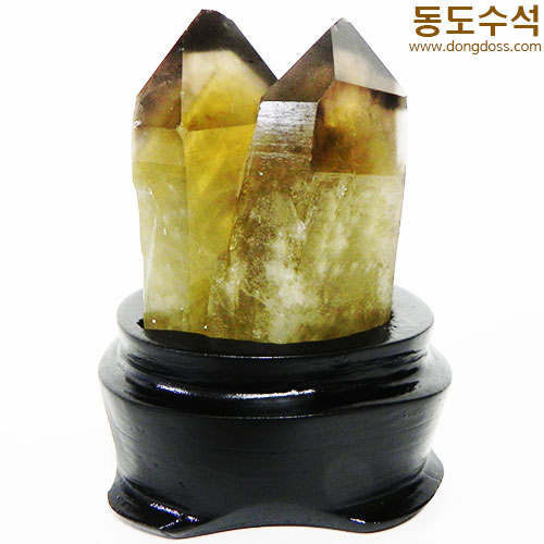 황수정