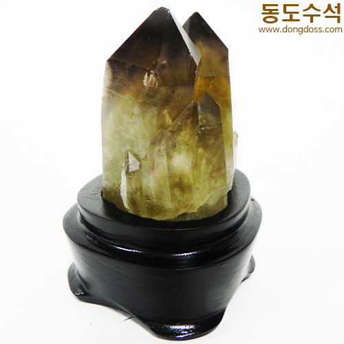 황수정