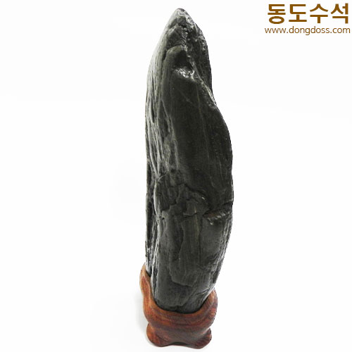 쬬코입석