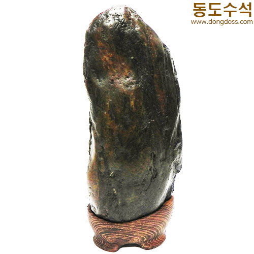 쬬코입석