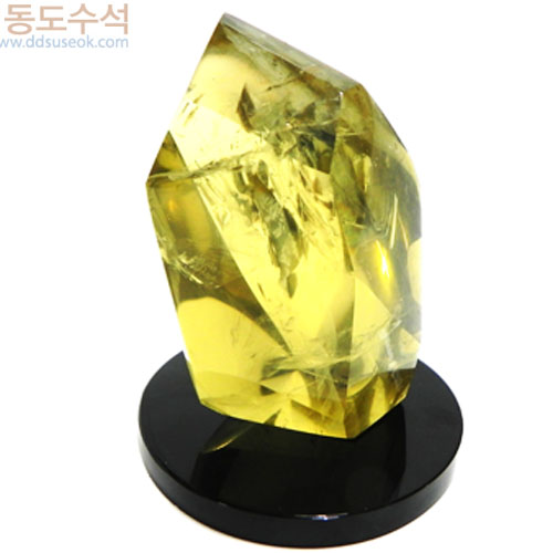 황수정