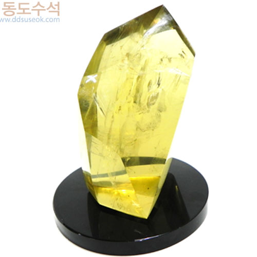 황수정