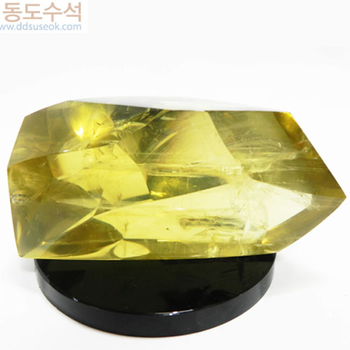 황수정