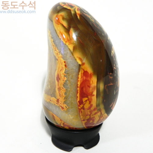 꽃과태양