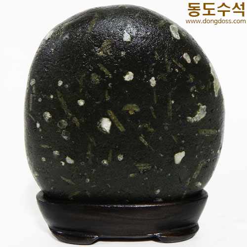 강이지