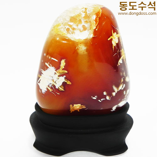 꽃동산