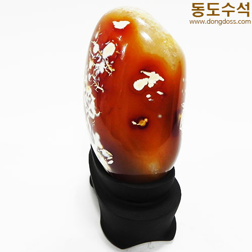 꽃동산