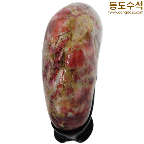 장미동산