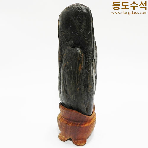 쬬코입석