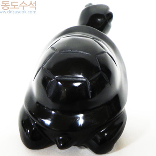 온릭스거북