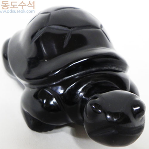 온릭스거북