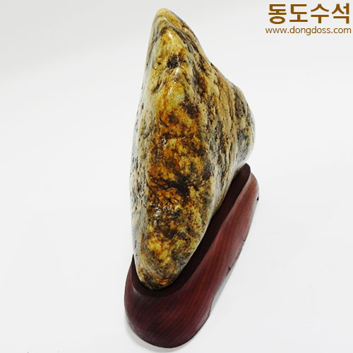 금수산황호피