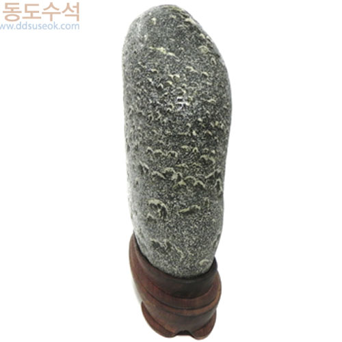 양때