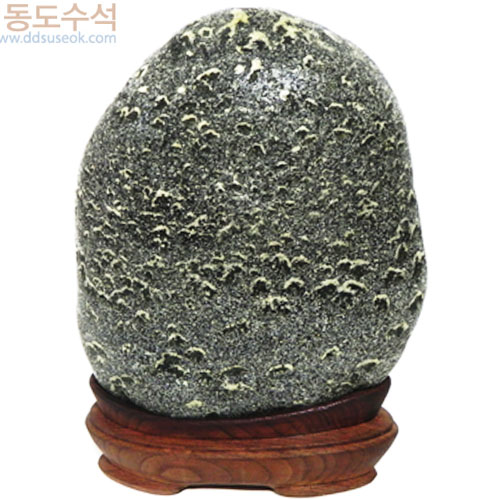 양때