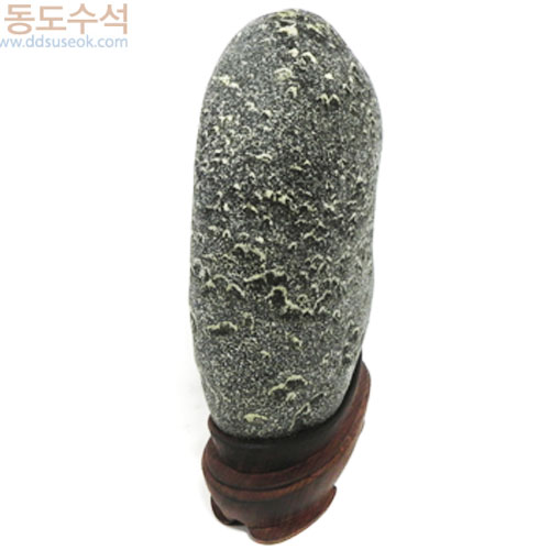 양때