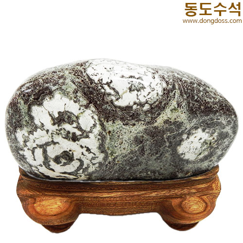 목단