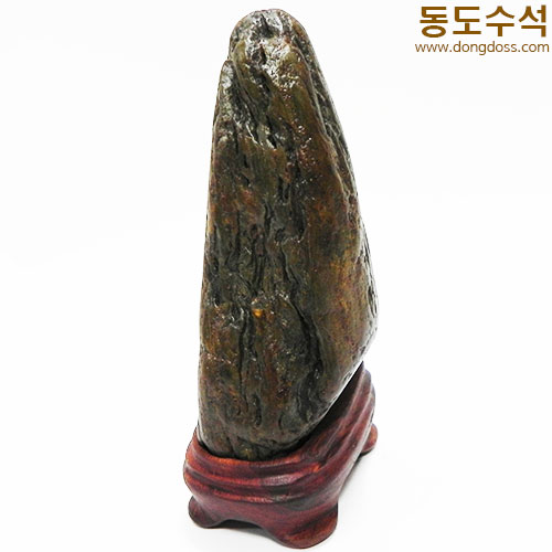 주름쬬코