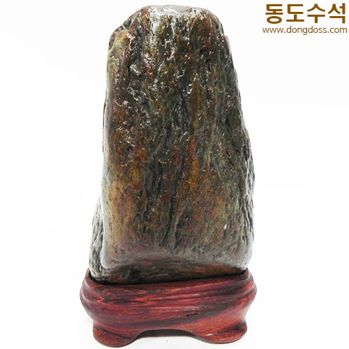 주름쬬코