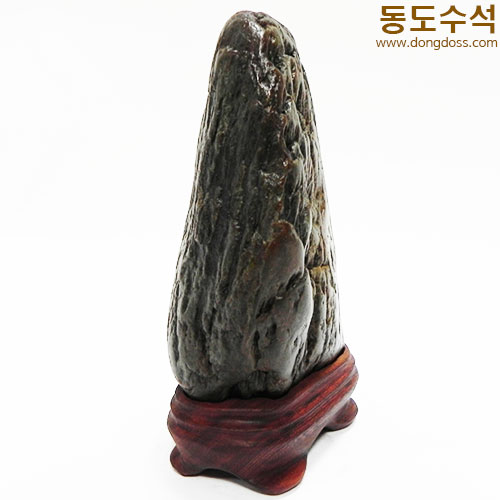 주름쬬코