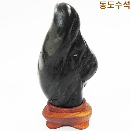 질좋은입석