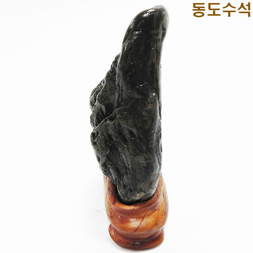 빛쌀쬬코