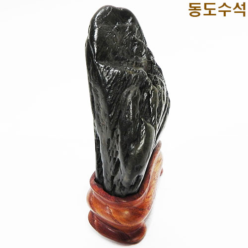 빛쌀쬬코