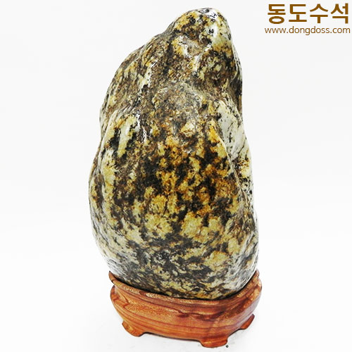 호피입석