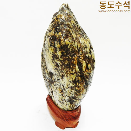 호피입석