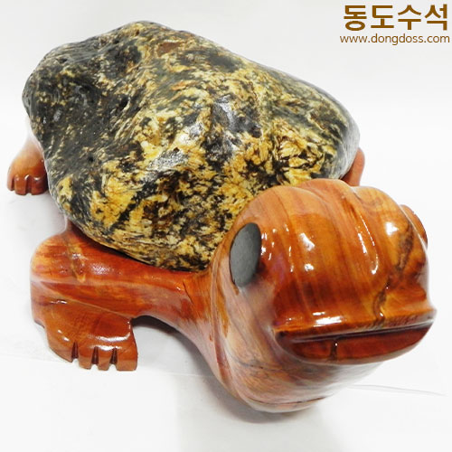 황금거북