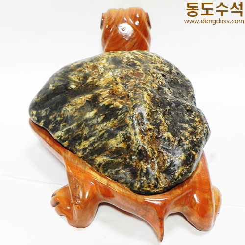 황금거북