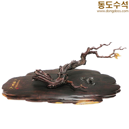 매미(타와석)