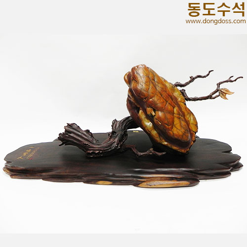 매미(타와석)