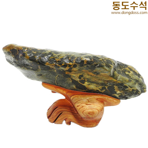 황금독수리