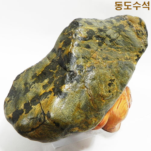 황금독수리
