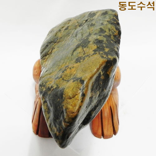 황금독수리