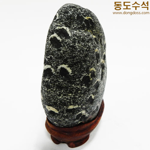 양때(군조)