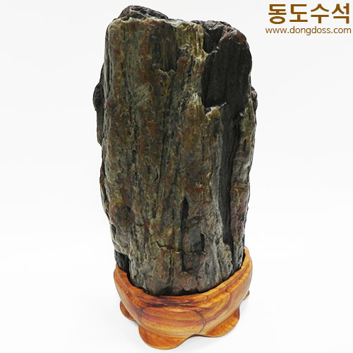 쬬코입석