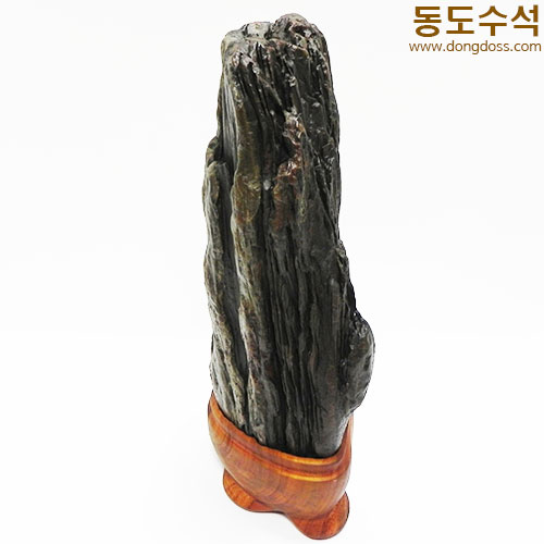 쬬코입석