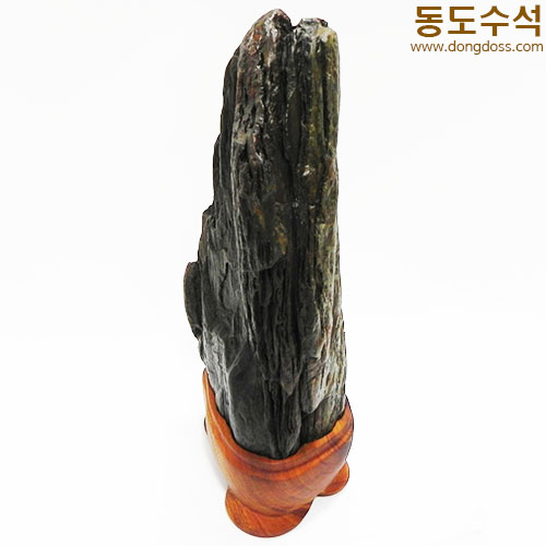 쬬코입석