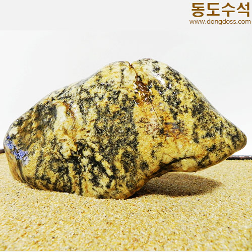 황금돼지
