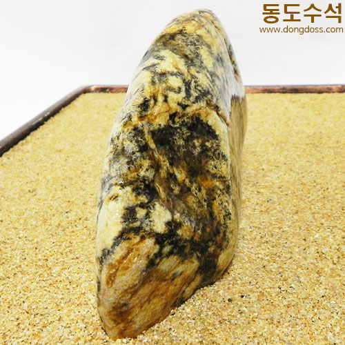 황금돼지