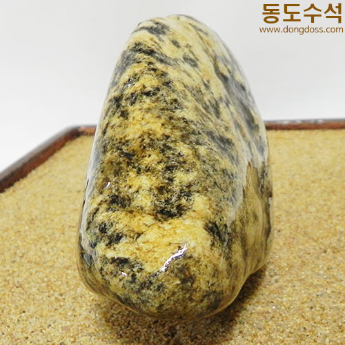 황금돼지