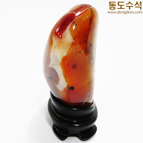 생각하는사람