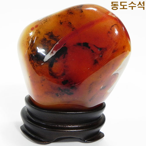 생각하는사람